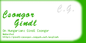 csongor gindl business card